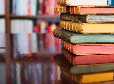 türkçe edebiyat özel ders